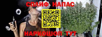 spice Дубна