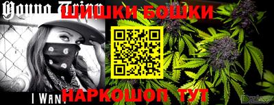 spice Дубна